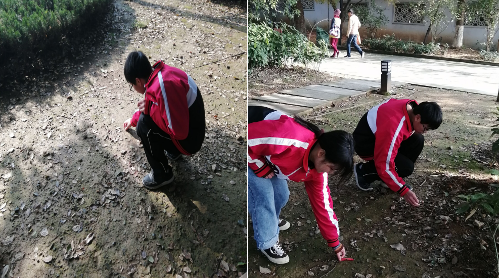 16e27d3409fb4c778edf0c549b46a19e.png 16e27d3409fb4c778edf0c549b46a19e.png