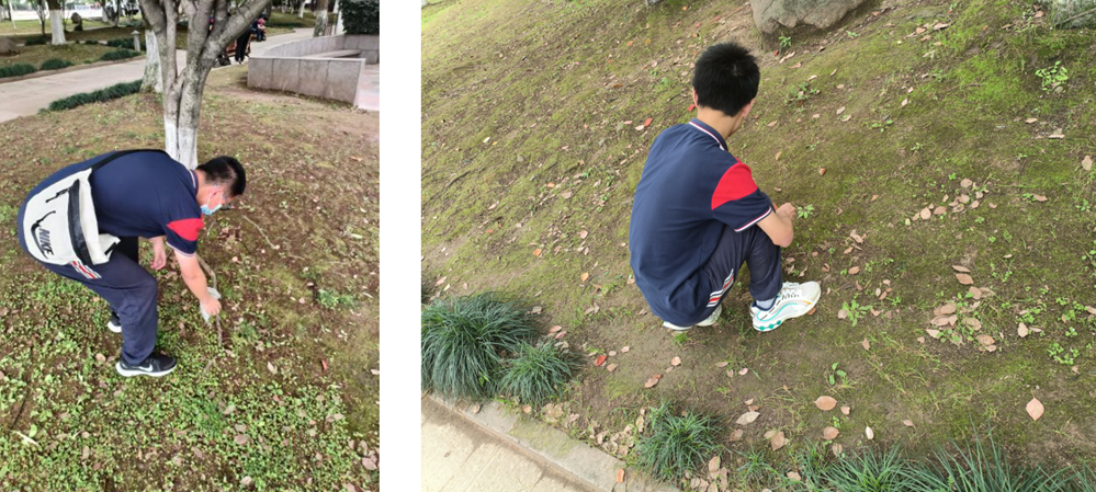 fee4e83c29784959b22a075a14bc271a.png fee4e83c29784959b22a075a14bc271a.png