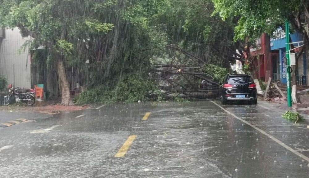 fc5b8e4ff75a4ae38ec380c086f0b826.jpg fc5b8e4ff75a4ae38ec380c086f0b826.jpg