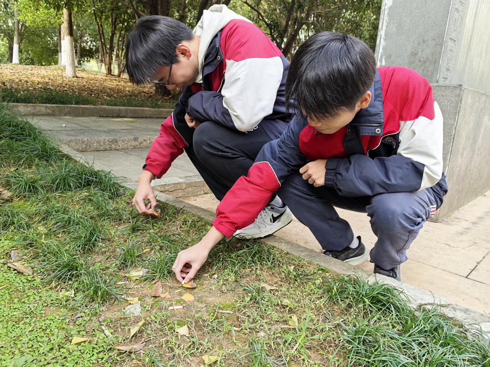 3f1018b3b1464c0fbde2deb8e09b7f1e.png 3f1018b3b1464c0fbde2deb8e09b7f1e.png