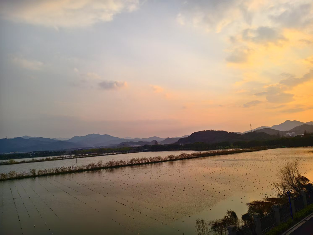 cb99bbdb4b014657a61fd4f043f6fd65.png cb99bbdb4b014657a61fd4f043f6fd65.png