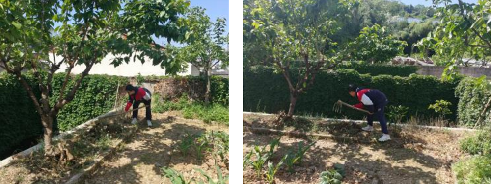 08c3f2d938bc402e86d688fafe450812.png 08c3f2d938bc402e86d688fafe450812.png