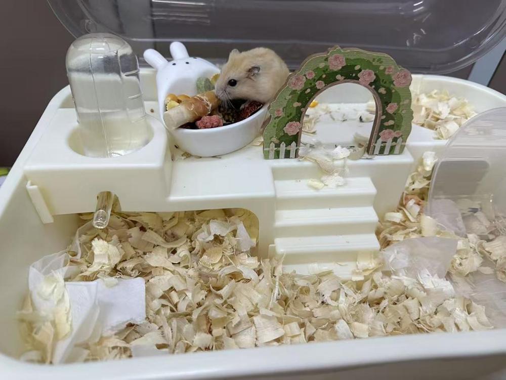 ef0ceac7882f42d9be1aefe6e02a9339.png ef0ceac7882f42d9be1aefe6e02a9339.png