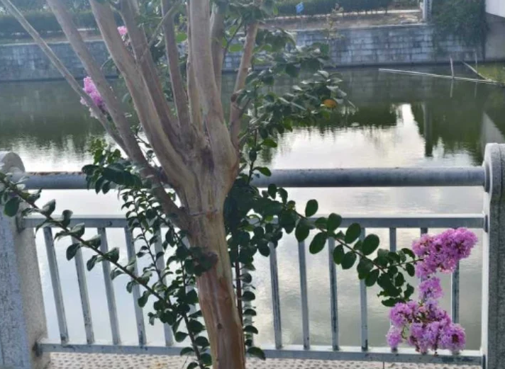 f8b185dfada24810954159c8a0b9be74.png f8b185dfada24810954159c8a0b9be74.png