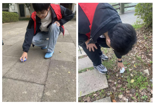 a9ee0e3631644e779085ce2025835977.png a9ee0e3631644e779085ce2025835977.png